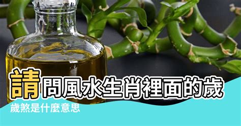 歲煞是什麼意思|歲煞